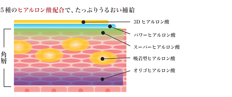 5種類のヒアルロン酸