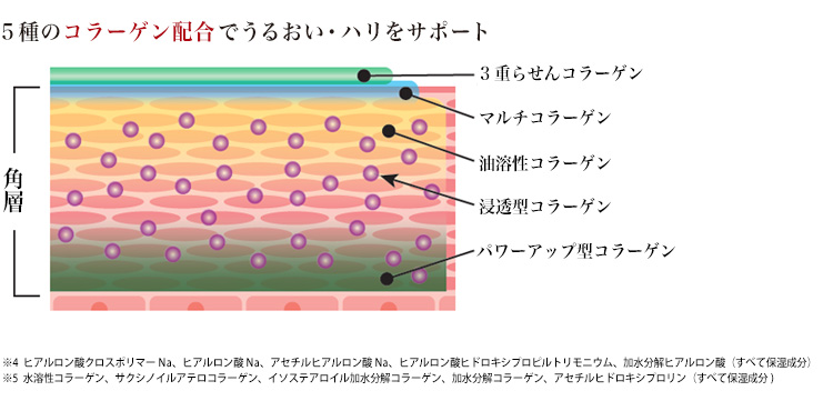 5種類のコラーゲン